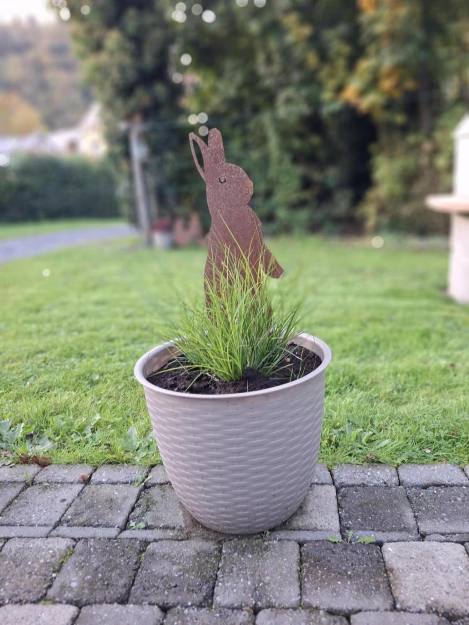 Label Semois Gite Rural 3 Epis Bouillon Kültér fotó
